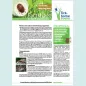 Cover of the factsheet on tick-borne relapsing fever for health practitioners