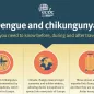 Screenshot mosquito-borne diseases infographic