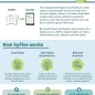hiFive app infographic - Page 1