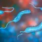 Vibriosis