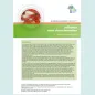 Cover of the influenza virus characterisation, June 2017