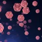Polio virus