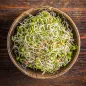 Sprouts