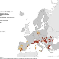West Nile virus infections among humans and outbreaks among equids and/or birds, 2022