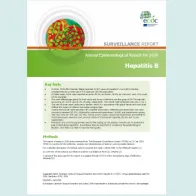 Cover of the hepatitis B AER for 2016