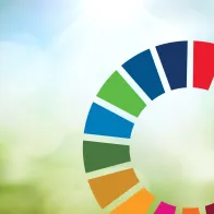 Sustainable development goals 2025
