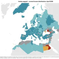 Aedes aegypti - current known distribution: April 2026