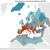 Aedes albopictus - current known distribution: April 2026