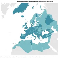 Aedes atropalpus - current known distribution: April 2026