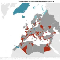 Aedes caspius - current known distribution: April 2026