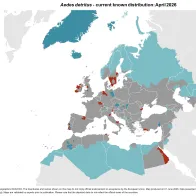 Aedes detritus/Aedes coluzzii - current known distribution: April 2026
