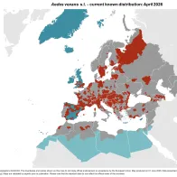 Aedes vexans s.l. - current known distribution: April 2026