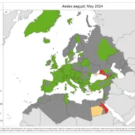 Aedes aegypti - current known distribution: May 2024