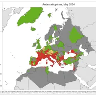 Aedes albopictus - current known distribution: May 2024