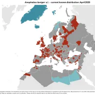 Anopheles claviger s.l. - current known distribution: April 2026