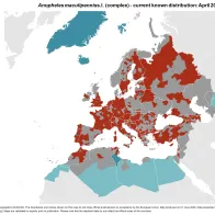 Anopheles maculipennis s.l. - current known distribution: April 2026