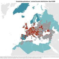 Anopheles plumbeus - current known distribution: April 2026