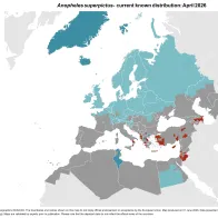 Anopheles superpictus - current known distribution: April 2026
