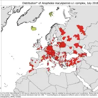 Anopheles maculipennis s.l. complex - current known distribution, July 2018