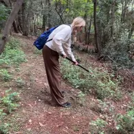 Arbovirus and its Mosquito Vector Surveillance in Madagascar 2