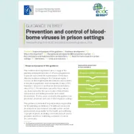 Cover of the Guidance in brief: Prevention and control of blood-borne viruses in prison settings 