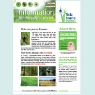 Cover of infosheet about tick-borne encephalitis for the general public