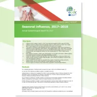 Cover of 2017 AER on seasonal influenza