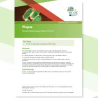 Cover for Plague - Annual Epidemiological Report for 2017
