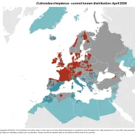 Culicoides chiopterus - current known distribution: April 2026.png