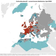 Culicoides dewulfi - current known distribution: April 2026.png