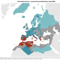 Culicoides imicola - current known distribution: April 2026.png