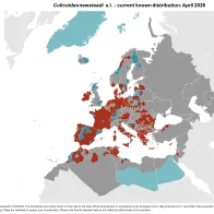 Culicoides newsteadi s.l. - current known distribution: April 2026.png
