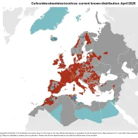 Culicoides obsoletus/scoticus - current known distribution: April 2026.png