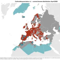 Culicoides punctatus s.l. - current known distribution: April 2026.png