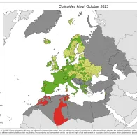 Culicoides kingi - current known distribution: October 2023