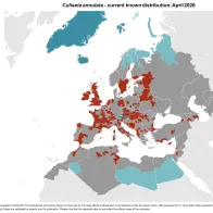 Culiseta annulata - current known distribution: April 2026