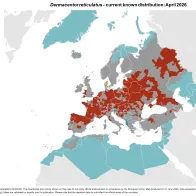 Dermacentor reticulatus - current known distribution: April 2026.png