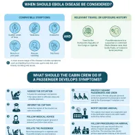 Ebola disease and air travel