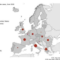 Map showing number of measles cases by country, EU/EEA, June 2018