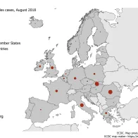 Number of measles cases by country, EU/EEA, August 2018 (n=439)