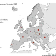 Number of measles cases by country, EU/EEA, November 2018 (n=385)
