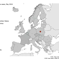 Distribution of rubella cases by country, May 2018 in EU/EEA countries