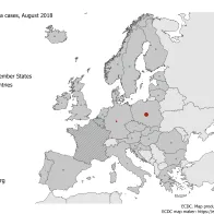 Number of rubella cases by country, EU/EEA, August 2018 (n=48)