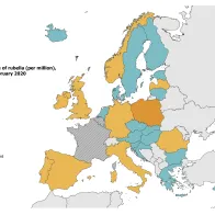Rubella notification rate per million population by country, EU/EEA and the UK, 1 March 2019–29 February 2020