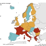 Vaccination coverage for the second dose of measles-containing vaccine by country, 2016, WHO, EUEEA countries