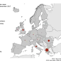 Distribution of measles cases by country, November 2017 in EU/EEA countries