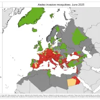Aedes invasive mosquitoes map June 2025