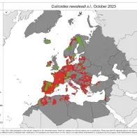 Culicoides newsteadi s.l. - current known distribution: October 2023