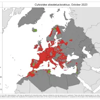 Culicoides obsoletus/scoticus - current known distribution: October 2023