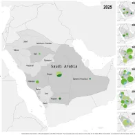Geographical distribution of confirmed cases of MERS in Saudi Arabia by probable region of infection and exposure, with dates of onset from January 2013 to December 2025
